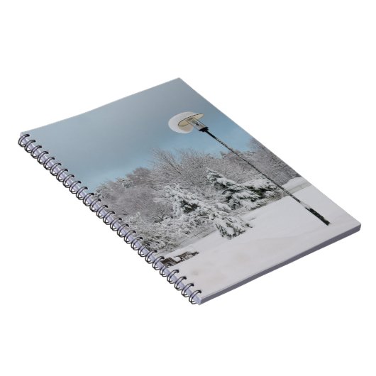 Carnet Le pays des merveilles d'hiver (Côté Droit)