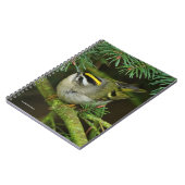 Carnet Le petit petit Kinglet mignon provoque un remue-mé (Côté gauche)