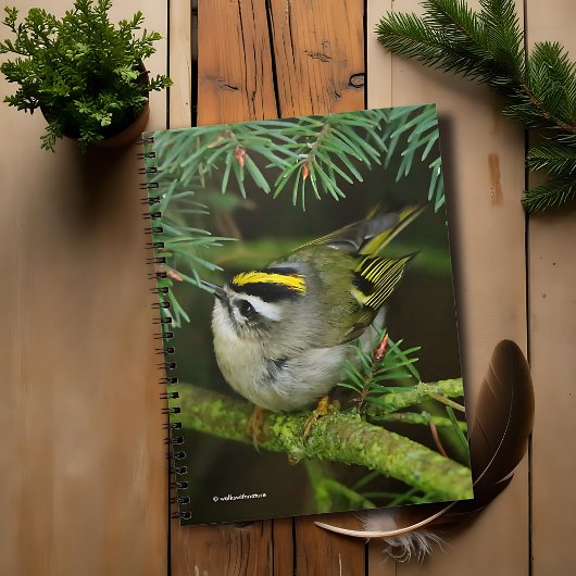 Carnet Le petit petit Kinglet mignon provoque un remue-mé