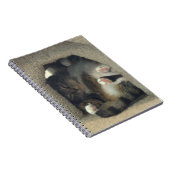 Carnet - le petit somme comme vous sont un chat ! (Côté Droit)