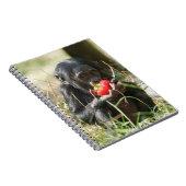 Carnet Le pique-nique de Bonobo (Côté Droit)