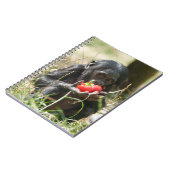 Carnet Le pique-nique de Bonobo (Côté gauche)