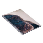CARNET LE PLUS ANCIEN CHIMPANZÉ (Côté Droit)