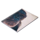 CARNET LE PLUS ANCIEN CHIMPANZÉ (Côté gauche)