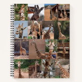 Carnet Le portable Herd (Devant)