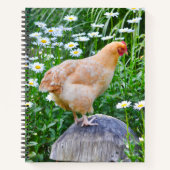 Carnet Le poulet aime les marguerites (Devant)