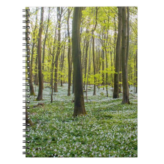 Carnet Le printemps à la vie (Devant)