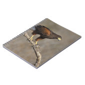Carnet Le rapace été perché par faucon de Harris (Côté gauche)