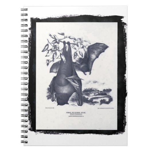 Carnet Le renard volant (Devant)