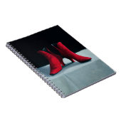 Carnet Le rouge initialise 1995 (Côté Droit)