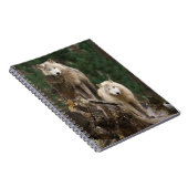 Carnet Le royaume des loups blancs (Côté Droit)