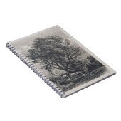 Carnet Le saule (gravure à l'eau-forte) (Côté Droit)