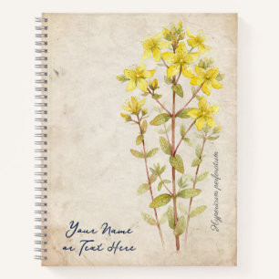 Carnet Le Secret de la Saint-Jean : Hypericum Perforatum