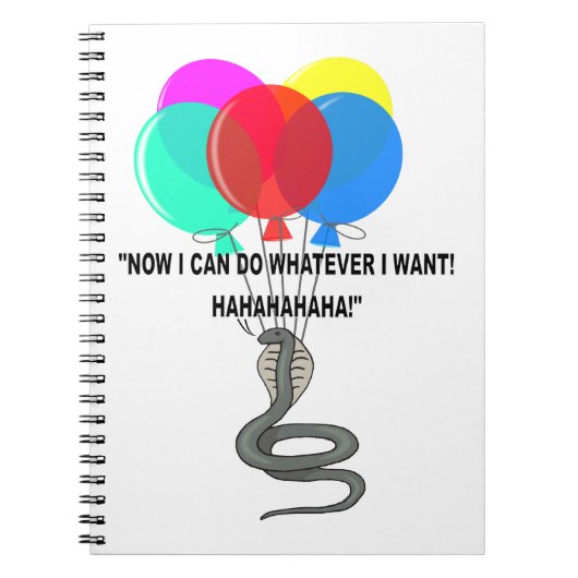 Carnet Le serpent volant (Devant)