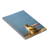 Carnet Le singe barbare de Gibraltar (Côté Droit)