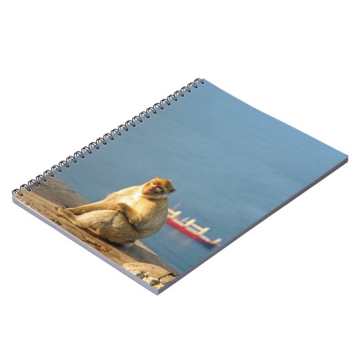 Carnet Le singe barbare de Gibraltar (Côté gauche)