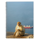 Carnet Le singe barbare de Gibraltar (Devant)