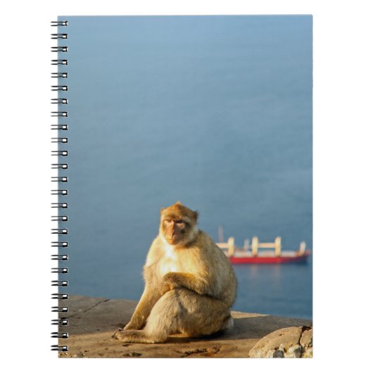 Carnet Le singe barbare de Gibraltar (Devant)