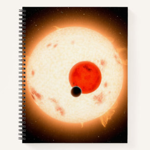 Carnet Le système Kepler-16.