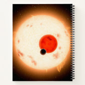 Carnet Le système Kepler-16. (Dos)