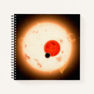 Carnet Le système Kepler-16.