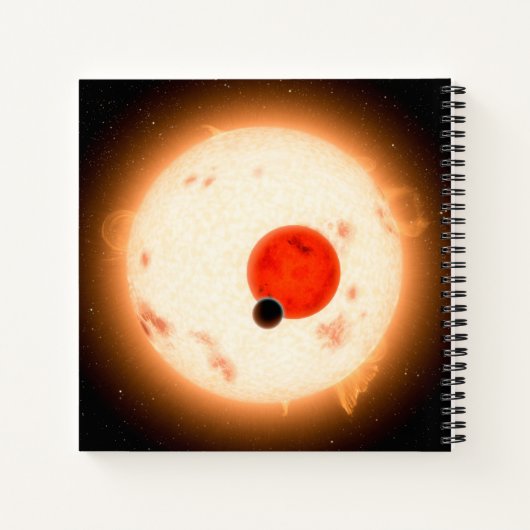 Carnet Le système Kepler-16. (Dos)