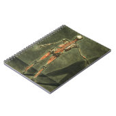 Carnet Le système musculaire profond du dos du corps, (Côté gauche)