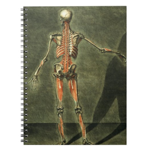 Carnet Le système musculaire profond du dos du corps, (Devant)