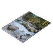 Carnet Le torrent Ramsauer Ache (Côté gauche)