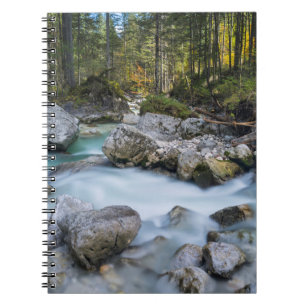Carnet Le torrent Ramsauer Ache
