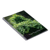 Carnet Le trône de la nature (Côté Droit)