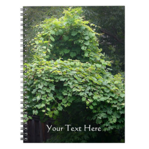 Carnet Le trône de la nature