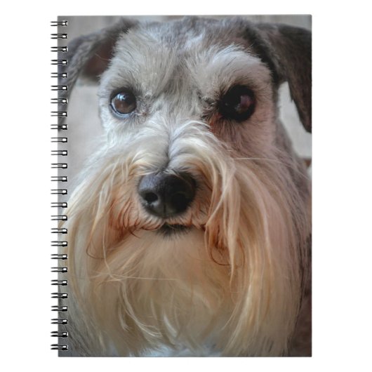 Carnet Le visage de Schnauzer Dog (Devant)