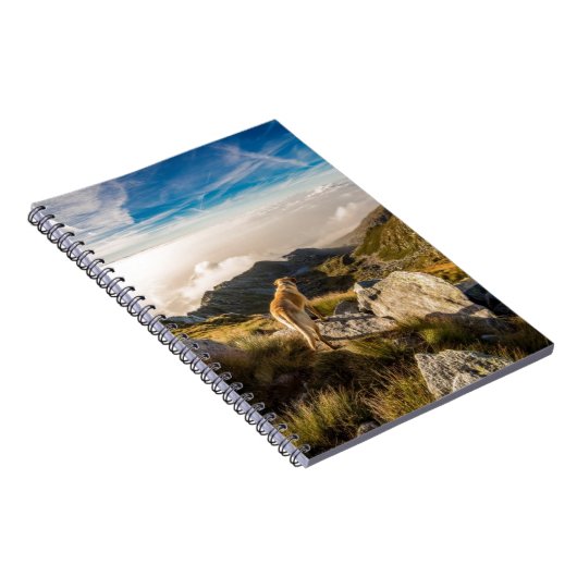 Carnet Le voyage (Côté Droit)