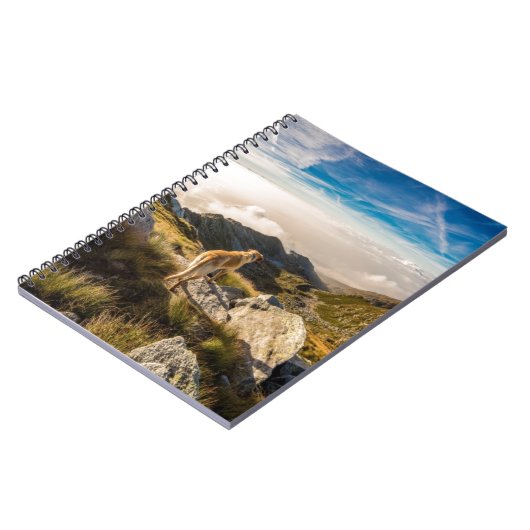 Carnet Le voyage (Côté gauche)