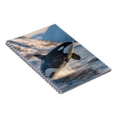 Carnet Leaping Orca Arctic Ocean Wildlife Art (Côté Droit)