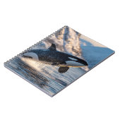 Carnet Leaping Orca Arctic Ocean Wildlife Art (Côté gauche)