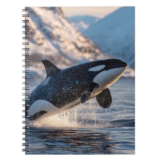 Carnet Leaping Orca Arctic Ocean Wildlife Art (Devant)