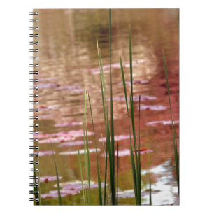 Carnet L'eau à travers les roseaux