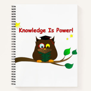 Carnet Lecture de Wise Owl