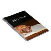 Carnet Lectures de chiot Pitbull (Côté Droit)