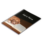 Carnet Lectures de chiot Pitbull (Côté gauche)