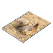 Carnet L'écureuil mignon mange une photo de noix (Côté gauche)