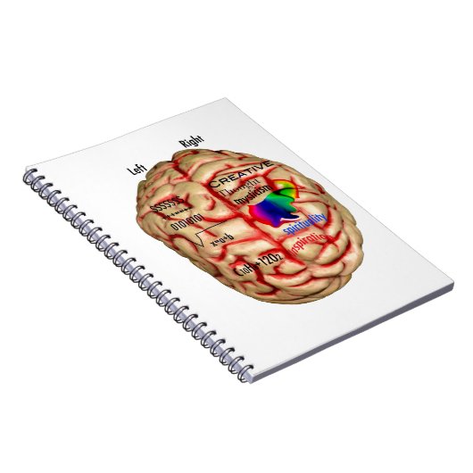 Carnet Left and Right Side of Brain (Côté Droit)