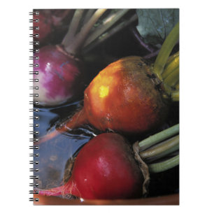 Carnet Légumes de racines colorés