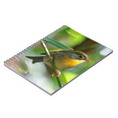 Carnet Leiothrix coloré / Pekin Robin Songbird (Côté gauche)