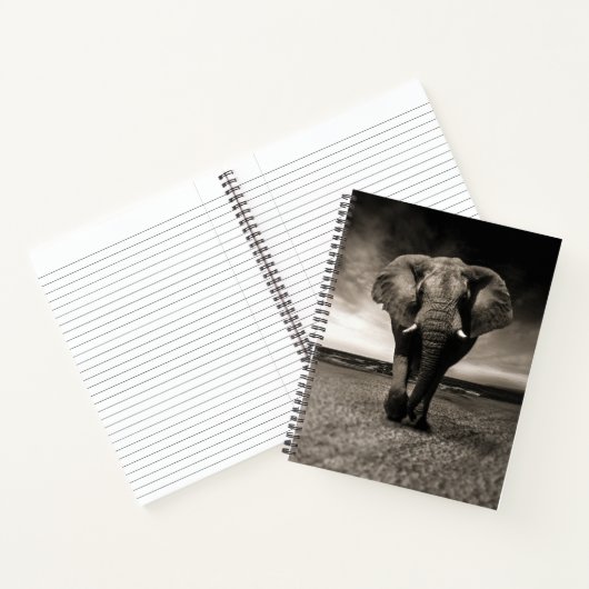 Carnet L'éléphant en fuite (Intérieur)