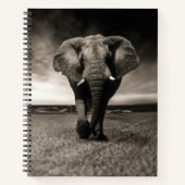 Carnet L'éléphant en fuite (Devant)