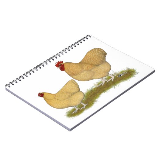 Carnet Lemon Cuckoo (Côté gauche)