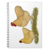 Carnet Lemon Cuckoo (Devant)